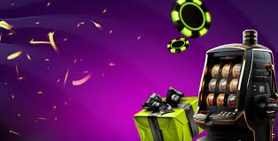 Studio Dream Gaming dengan dealer langsung dan kamera multi-angle di scobet999
